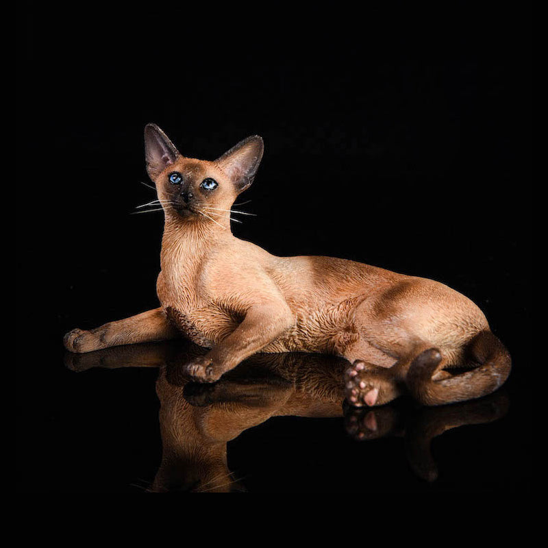 JXK016 1/6 寝そべりポーズのシャム猫 樹脂フィギュア（全3種） 商品画像