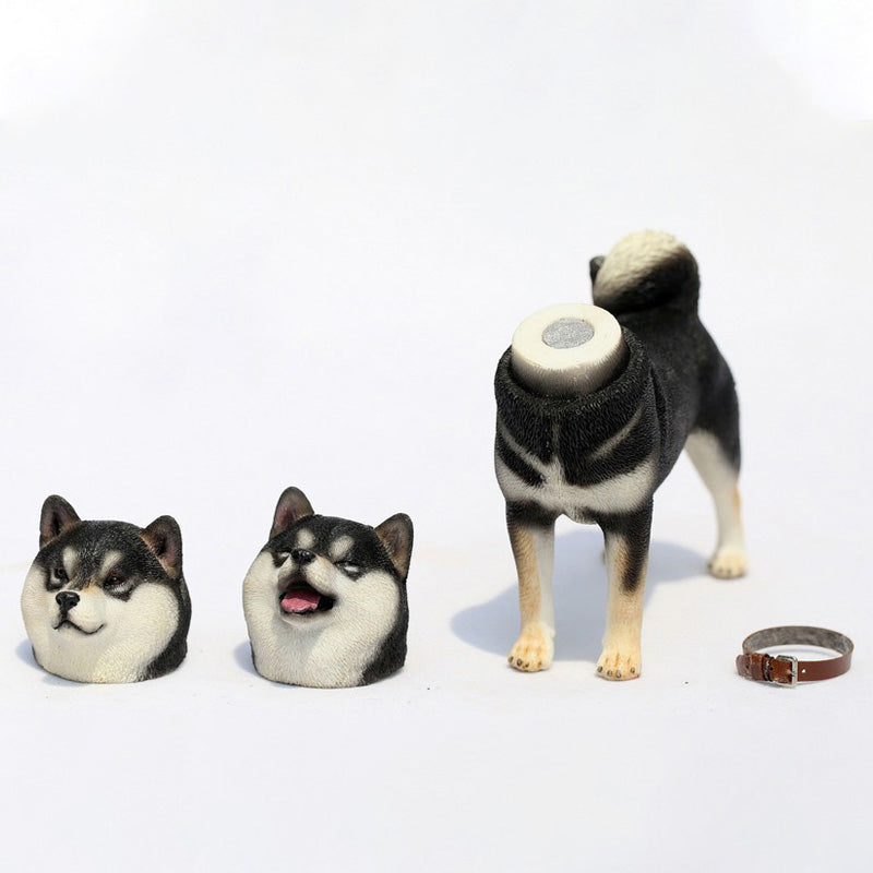 Mr.Z MRZ027 1/6 柴犬フィギュア（交換用ヘッド2個付き・全5種） 商品画像