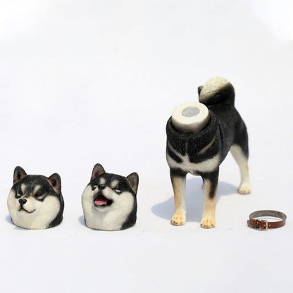 Mr.Z MRZ027 1/6 柴犬フィギュア（交換用ヘッド2個付き・全5種） 商品画像