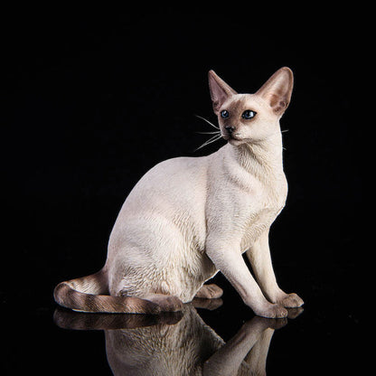 JXK017 1/6 お座りポーズのシャム猫 樹脂フィギュア（全3種） 商品画像