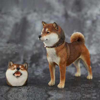 Mr.Z MRZ027 1/6 柴犬フィギュア（交換用ヘッド2個付き・全5種） 商品画像