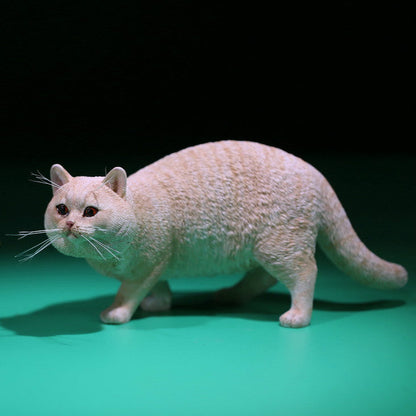 Mr.Z MRZ040 1/6 ブリティッシュショートヘア 樹脂フィギュア（全6種） 商品画像