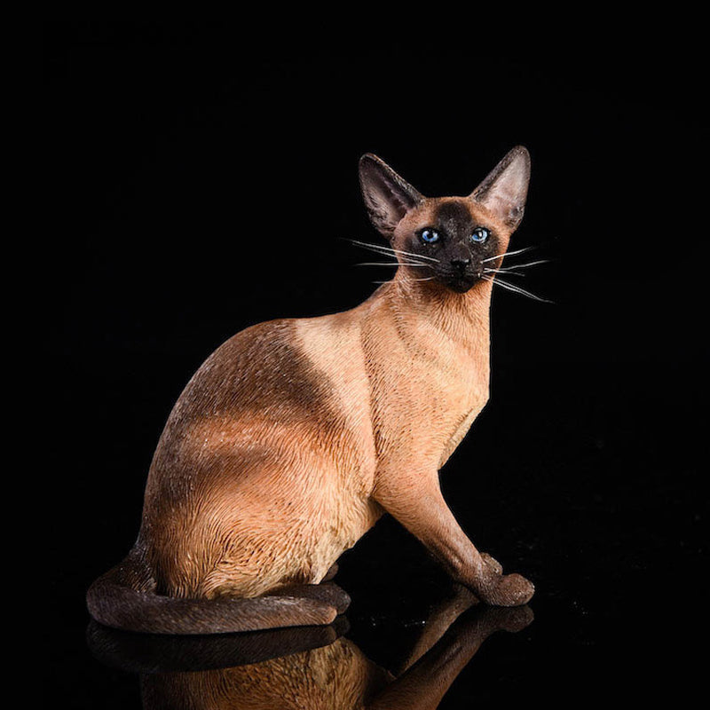 JXK017 1/6 お座りポーズのシャム猫 樹脂フィギュア（全3種） 商品画像