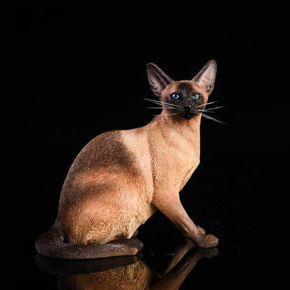 JXK017 1/6 お座りポーズのシャム猫 樹脂フィギュア（全3種） 商品画像