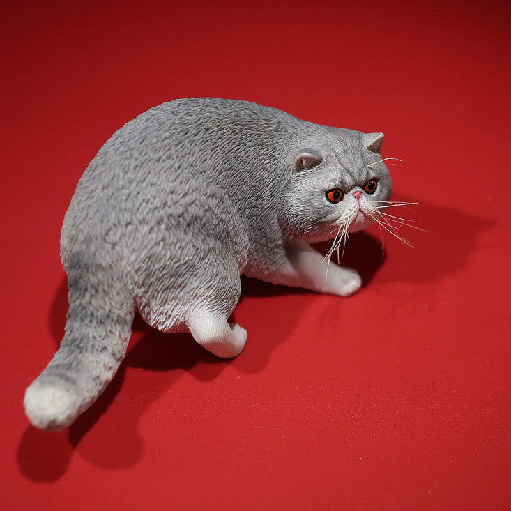 Mr.Z MRZ039 1/6 エキゾチックショートヘア 樹脂フィギュア（全6種） 商品画像