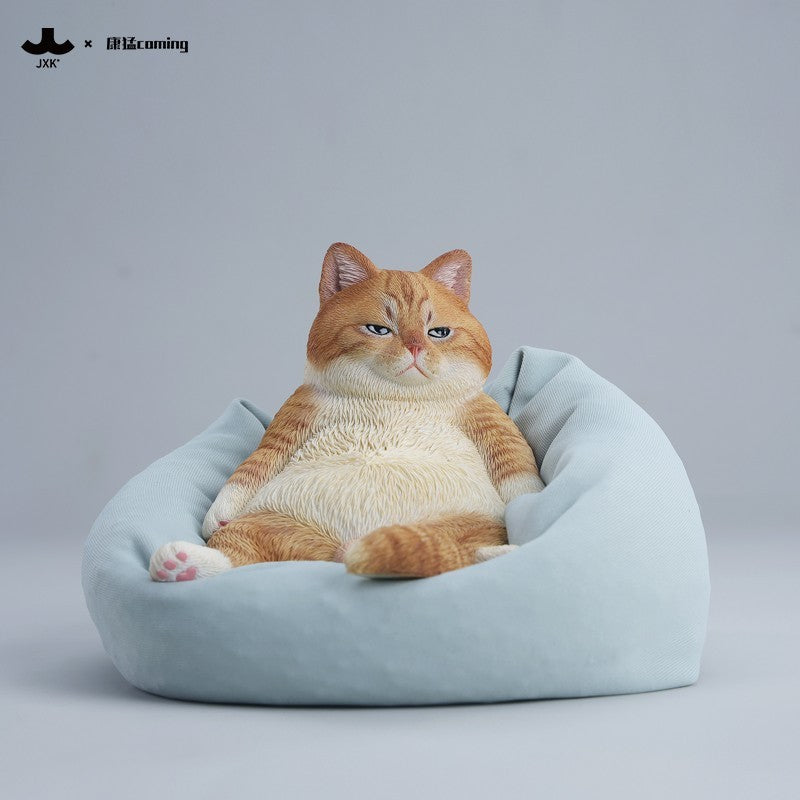 JXK353 午後のまったり猫