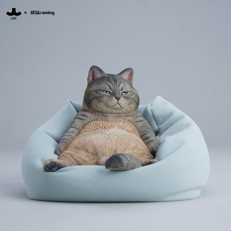 JXK353 午後のまったり猫