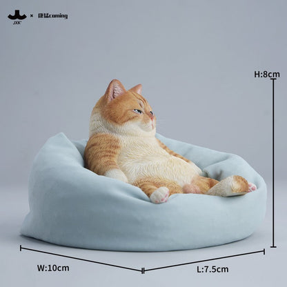 JXK353 午後のまったり猫
