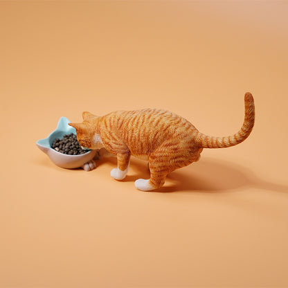 JXK1/6 Cat with rice