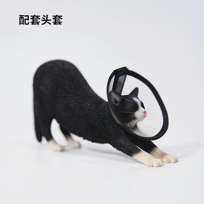 JXK 1/6 Stretched Cat