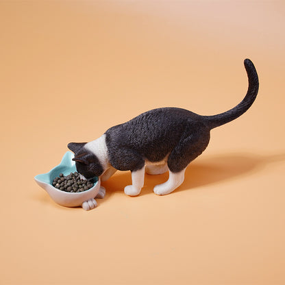 JXK1/6 Cat with rice