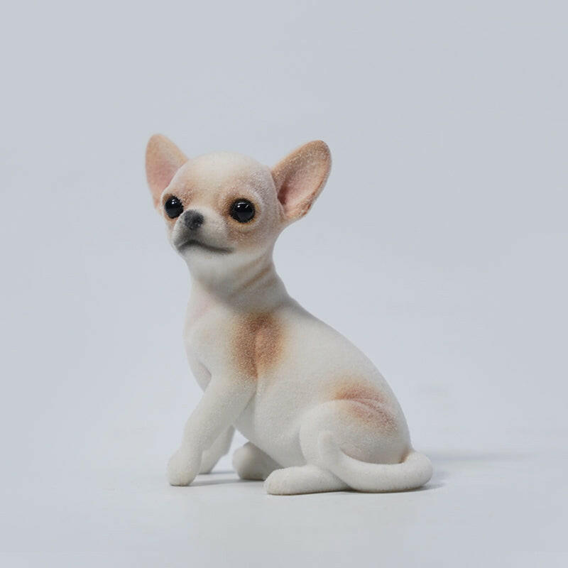 JXK2034  チワワ  Chihuahua