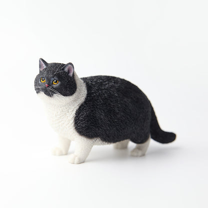 JXK 064 1/6ふと猫 JXK Studio出品