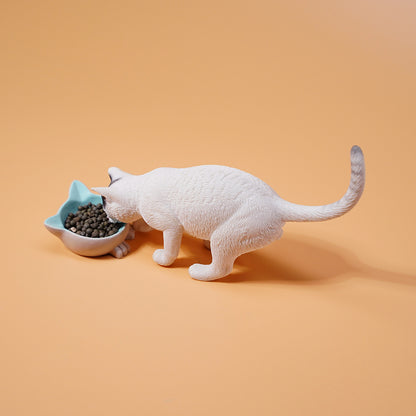 JXK1/6 Cat with rice