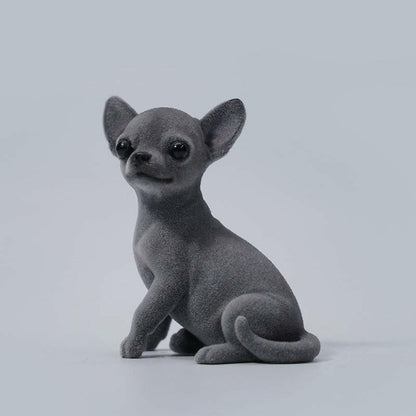 JXK2034  チワワ  Chihuahua
