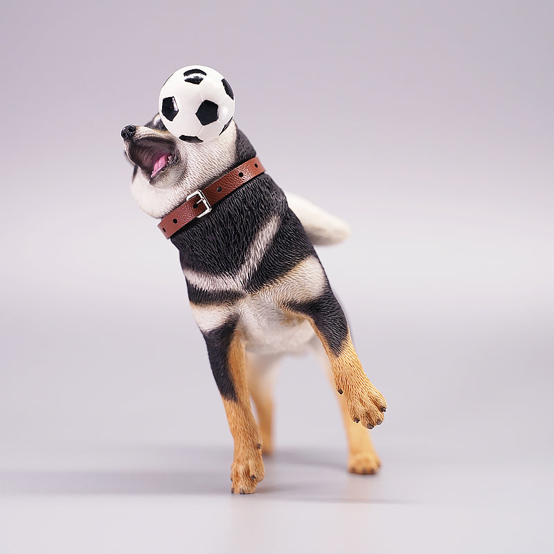 JXKサッカー選手柴犬