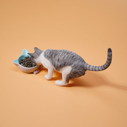 JXK1/6 Cat with rice