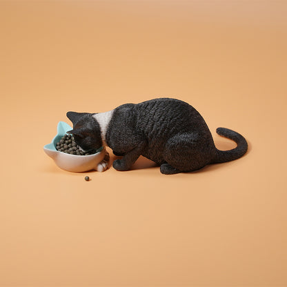 JXK1/6 Cat with rice