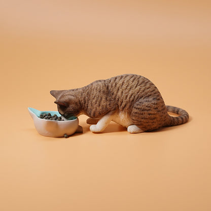 JXK1/6 Cat with rice